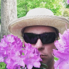 Tom Bone Jenkins - Black River Swamp