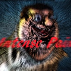 Brazil Anthem earrape