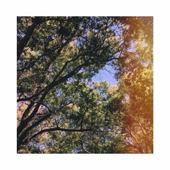 Morning Song - Trey West (The Avett Brothers Cover)