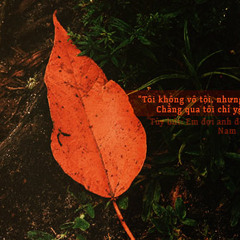 Em Đợi Anh Đến Năm 35 Tuổi - Lee Phú Quý ft Misu