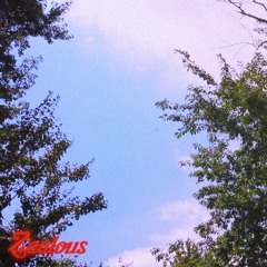 Zealous