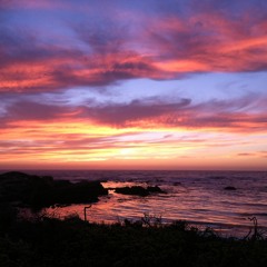 Nite Flite (Original Song)