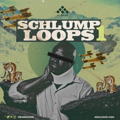 Schlump Loops Demo