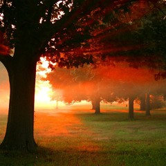 Dawn Under Heaven- Ronnie Augeri