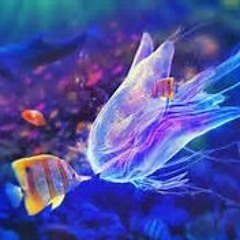 Nemo Swami - I See U Want It Ft MyNamesChazz