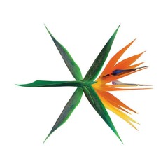 EXO (엑소) - The Eve (전야) [前夜] (cover)