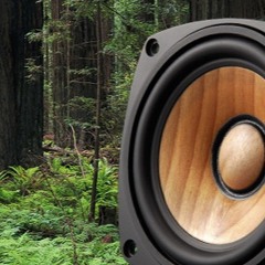 Matty Lincoln - Turn Up The Bass (Original Psy-Trance Mix)