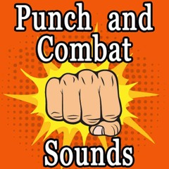 Punch And Combat Sounds