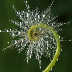 Tasteful Drum & Bass