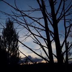 Woodstock Nature Reserve - Part 2 - 5th of August 2017