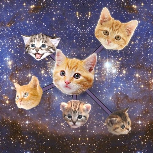 The Cat Wrangler March