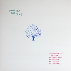 DBTL02 A1 - Ron Blanco & TRP - Emmy's Tree - Snippet