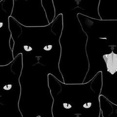 Weedy - Black Cat (FULL)
