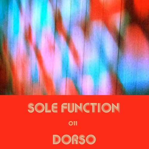 Sole Function 011