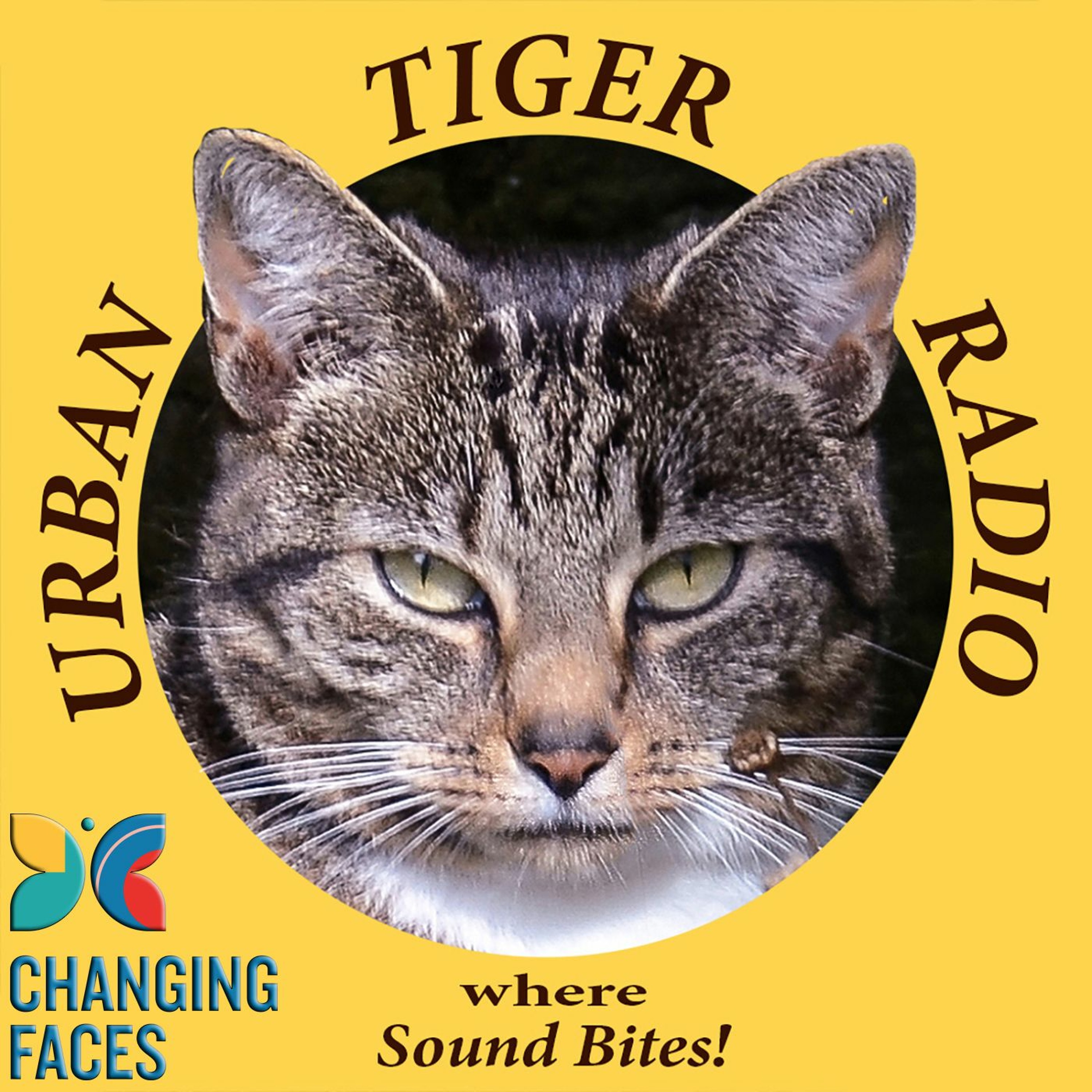 Urban Tiger Radio