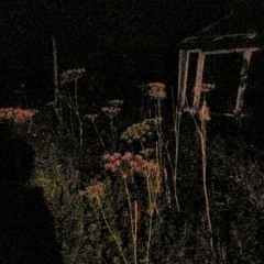 Equinox Flower - "Dead Seed" (aug.17)