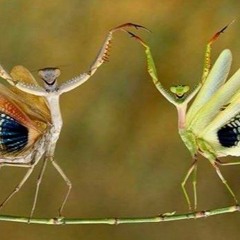 And Those Who Were Seeing Dancing, Were Thought To Be Insane By Those Who Cannot Hear The Music