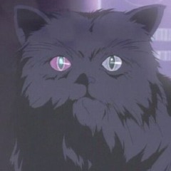 Zealous Mansteaks Intro