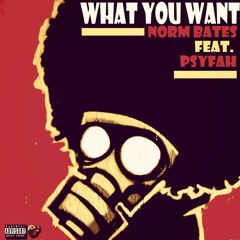 Norm Bates - What You Want ft Psyfah (Prod by Mike Morr)