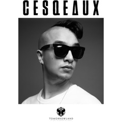 CESQEAUX - TOMORROWLAND 2017 [FULL SET]