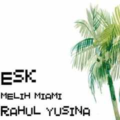 Melih Miami  - House is a feeling.snip