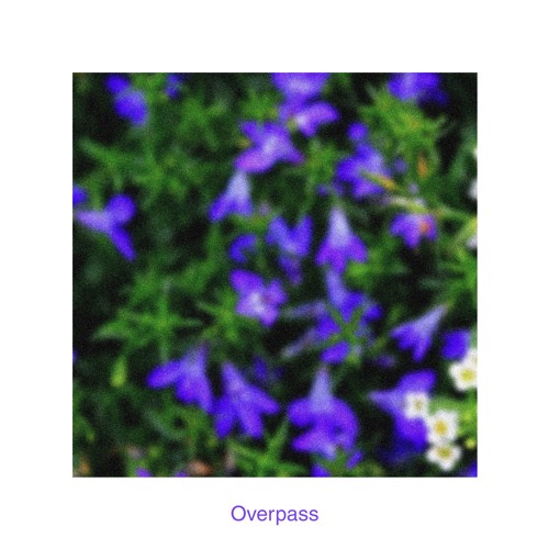 Overpass (ft. Dianna)