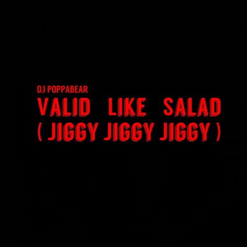 DJ POPPABEAR - VALID LIKE SALAD ( JIGGY JIGGY JIGGY )