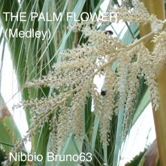 The palm flower (piano medley)