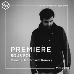 PREMIERE:  Sous Sol - Gyaan (Hari Erhardt  Remix) [Plotzlich Musik]