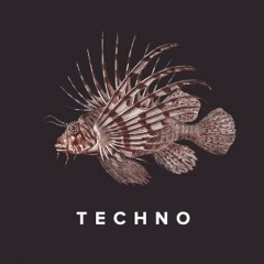 Techno Mixtape 2017