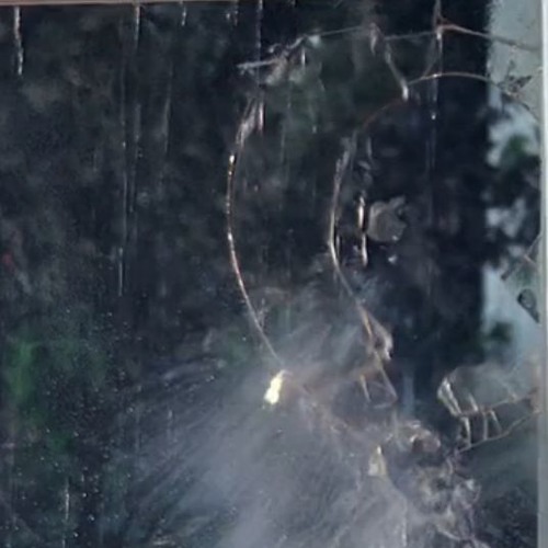 M Salaciak Deadlift 012 guest mix