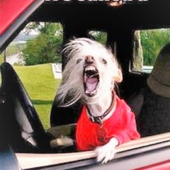 Dark by Design - Strapped in