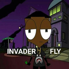 INVADER FLY