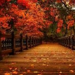 سورة النور من التلاوات النادرة مشارى العفاسى