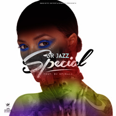 Dr Jazz - Special  ft  DJ SPINALL