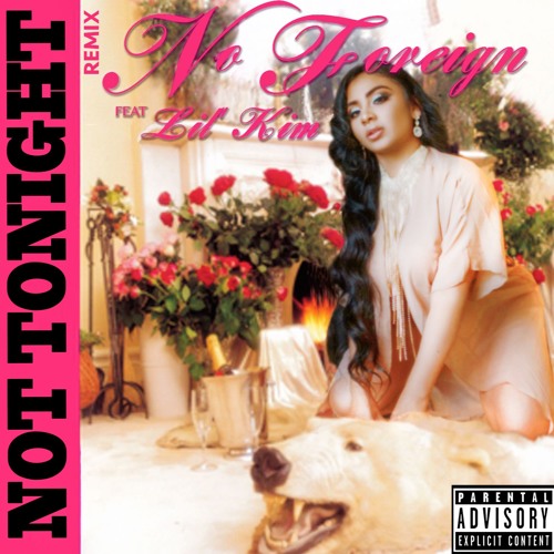 Lil kim not tonight mp3 download free Lil kim not tonight mp3 download free