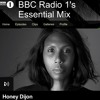BBC Radio 1 Essential Mix July 22, 2017 DJ mix artwork - Electronic music tracklist cover image