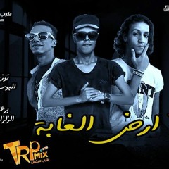مهرجان اللول غناء تيم ارض الغابة البوب-فاكس-ويفي توزيع البوب الاسيوطي