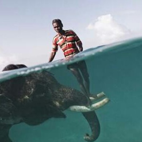 وسط الغريق.