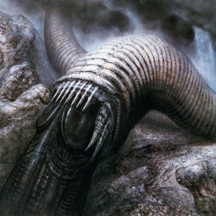 State Of Mind - Should Be