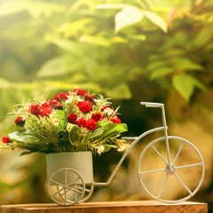 الحَيٌاة أَمَلٌ .. أمَلٌ تألّقَ وارتَقَى