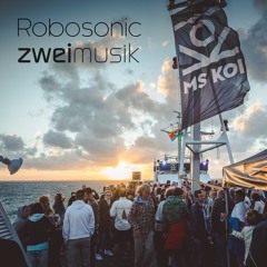 Sunset Cruise #2 2017 w/ Robosonic & zweimusik
