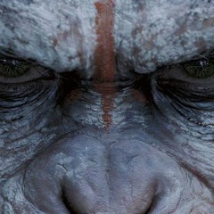 -(( Apes In Jungles  Cypher  2016 ))   Prod By Mak - D  - - Mc Hook - Shusha - Mmk -- Mak - D -