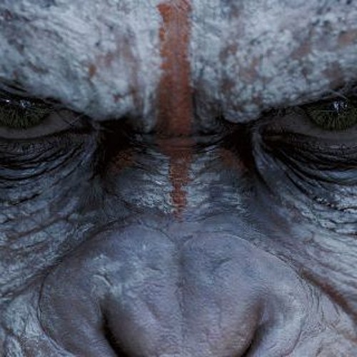 -(( Apes In Jungles  Cypher  2016 ))   Prod By Mak - D  - - Mc Hook - Shusha - Mmk -- Mak - D -
