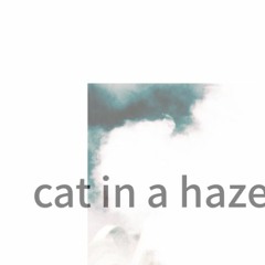 cat in a haze/中川飯店