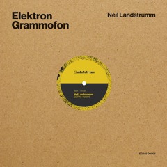 Neil Landstrumm — The Lady Spirit