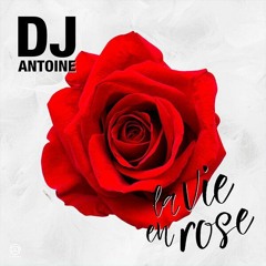 Dj Antoine - La Vie En Rose (Danstyle Bootleg Edit)