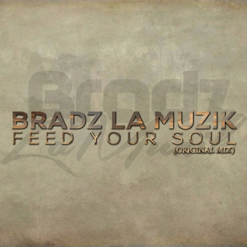 Bradz La Muzik -Feed Your Soul