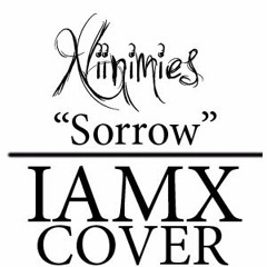 Niinimies - Sorrow (IAMX COVER) Mastered