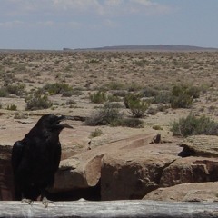 Barren Wastes and Carrion Crows